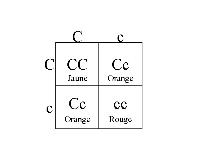 C C CC Jaune Cc c Orange c Cc Orange cc Rouge 