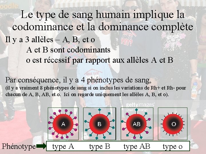 Le type de sang humain implique la codominance et la dominance complète Il y