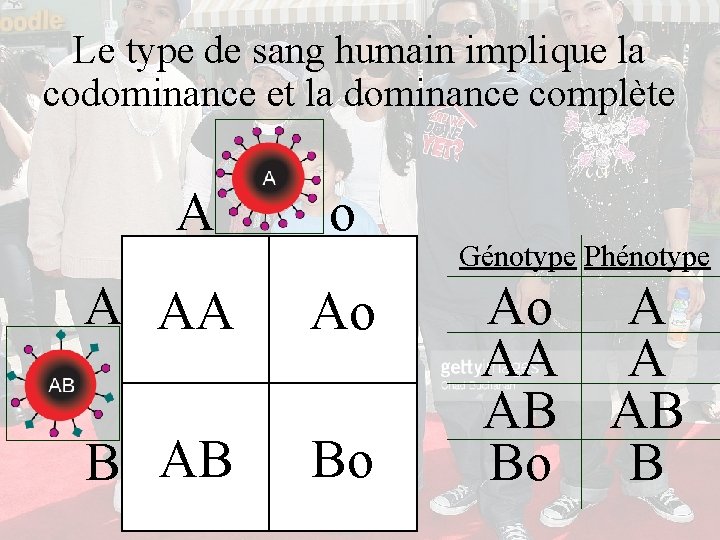 Le type de sang humain implique la codominance et la dominance complète A o