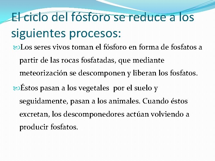 El ciclo del fósforo se reduce a los siguientes procesos: Los seres vivos toman