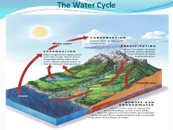 The Water Cycle The Water Cycle