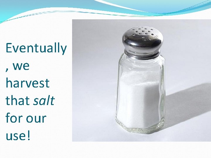 Eventually , we harvest that salt for our use! Eventually , we harvest that salt for our use!