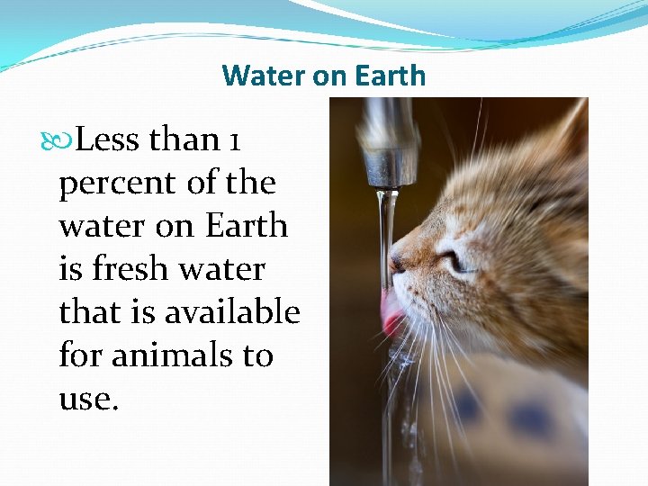 Water on Earth Less than 1 percent of the water on Earth is fresh Water on Earth Less than 1 percent of the water on Earth is fresh
