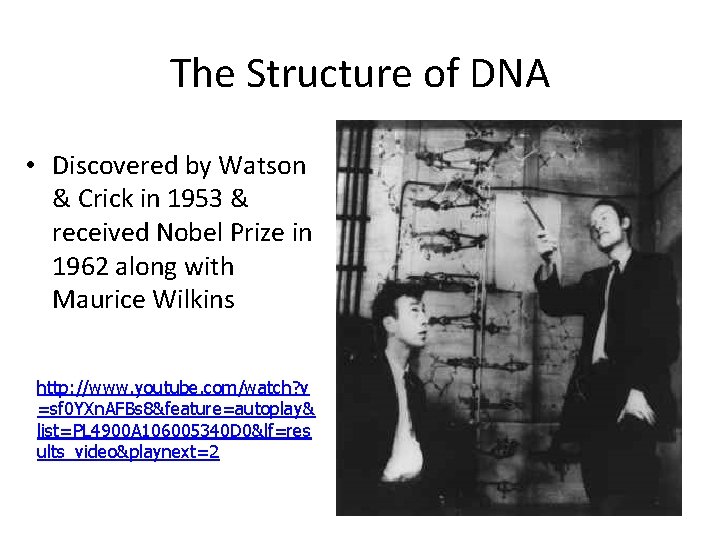 The Structure of DNA • Discovered by Watson & Crick in 1953 & received The Structure of DNA • Discovered by Watson & Crick in 1953 & received