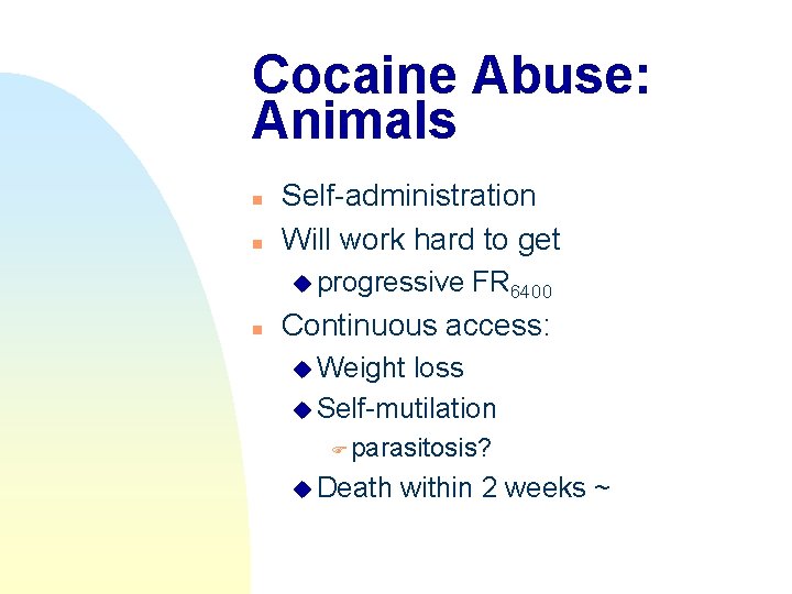 Cocaine Abuse: Animals n n Self-administration Will work hard to get u progressive n