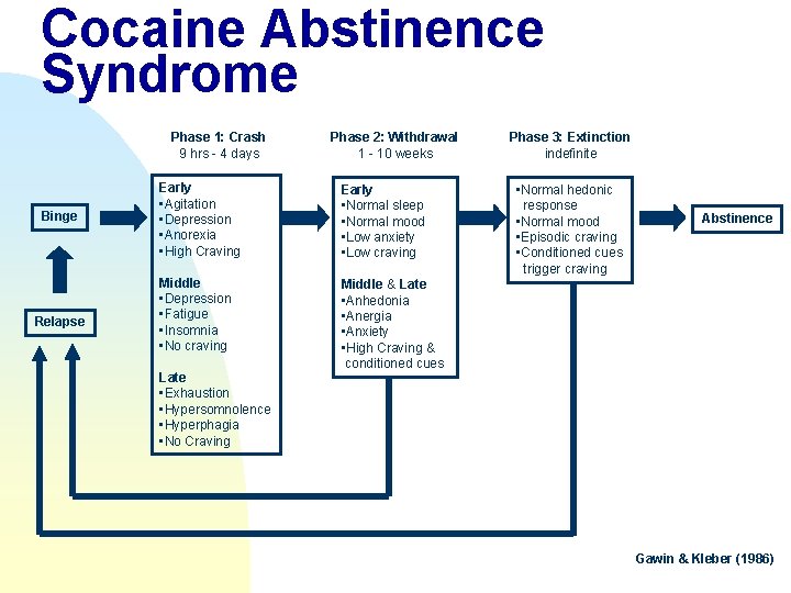 Cocaine Abstinence Syndrome Phase 1: Crash 9 hrs - 4 days Binge Relapse Phase