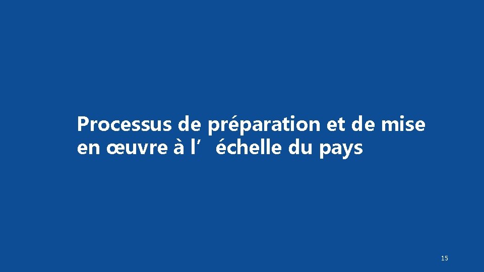 Processus de préparation et de mise en œuvre à l’échelle du pays 15 