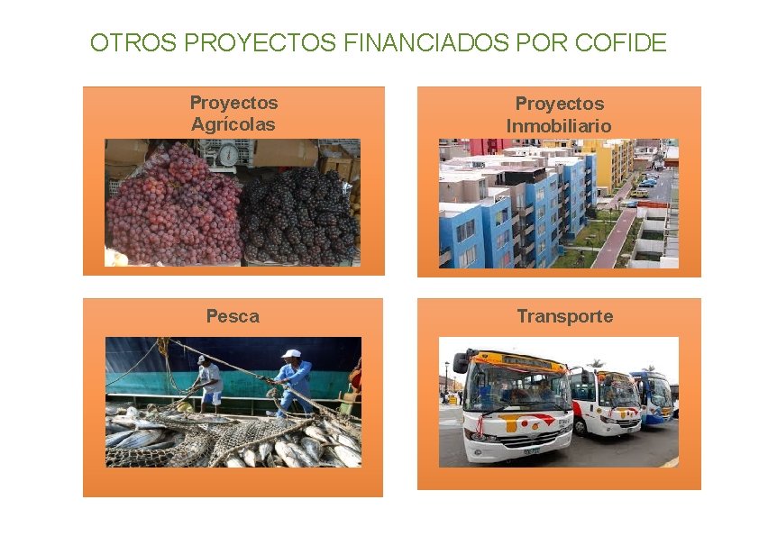 OTROS PROYECTOS FINANCIADOS POR COFIDE Proyectos Agrícolas Proyectos Inmobiliario s Pesca Transporte 