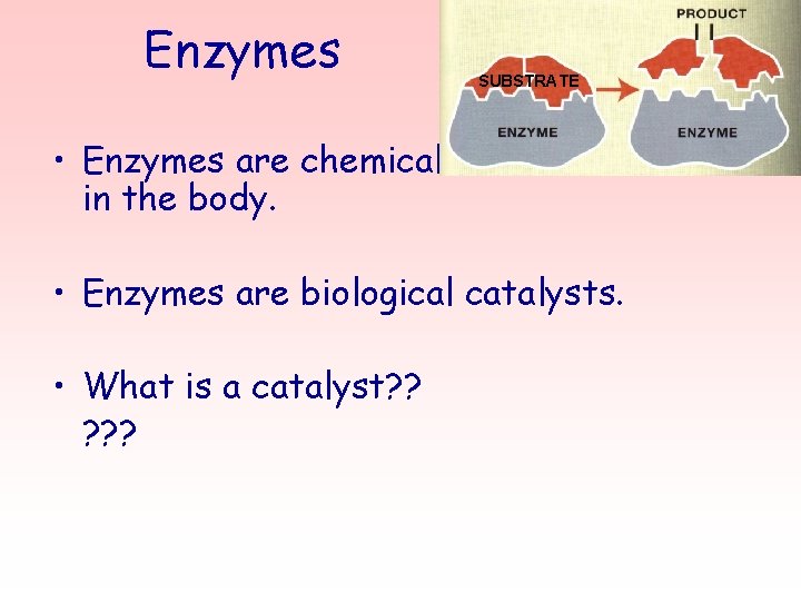 Enzymes SUBSTRATE • Enzymes are chemicals found in all cells in the body. •