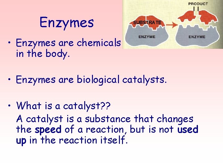 Enzymes SUBSTRATE • Enzymes are chemicals found in all cells in the body. •