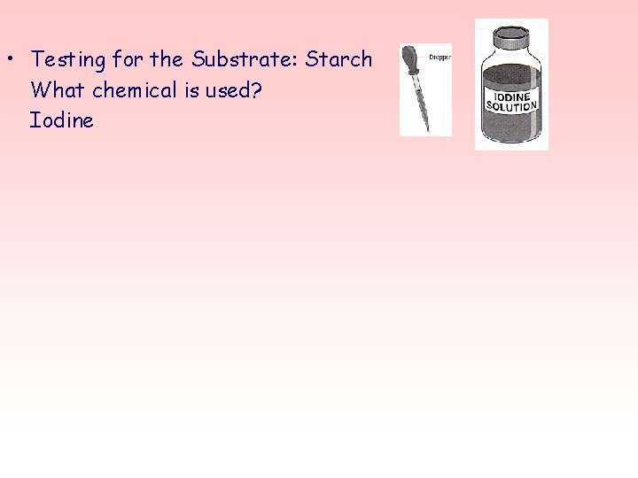  • Testing for the Substrate: Starch What chemical is used? Iodine 