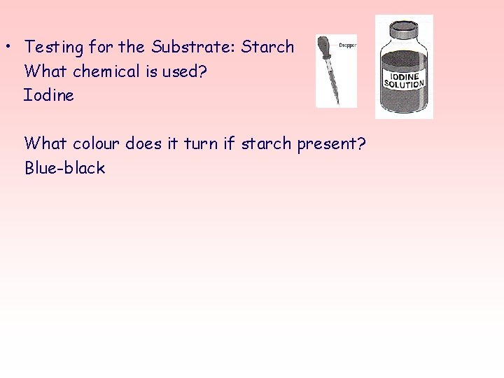  • Testing for the Substrate: Starch What chemical is used? Iodine What colour