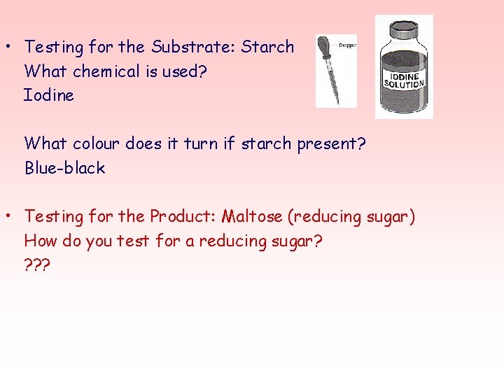  • Testing for the Substrate: Starch What chemical is used? Iodine What colour