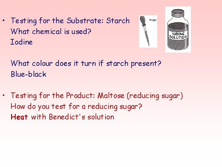  • Testing for the Substrate: Starch What chemical is used? Iodine What colour