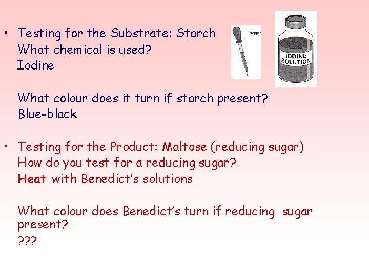  • Testing for the Substrate: Starch What chemical is used? Iodine What colour