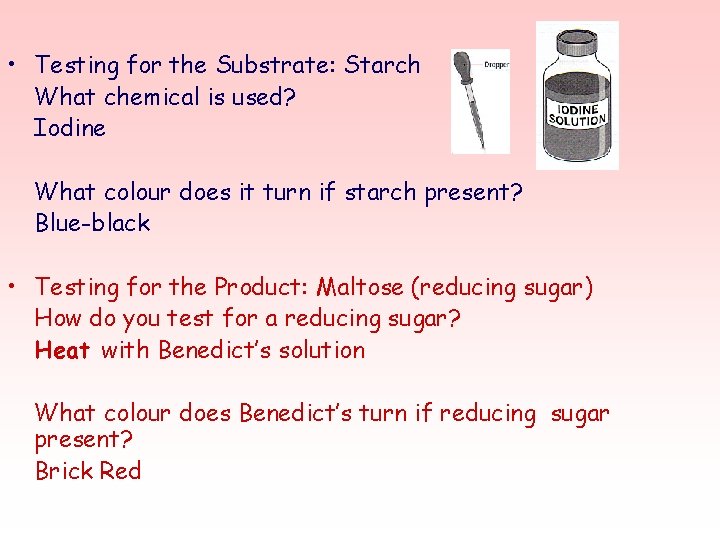  • Testing for the Substrate: Starch What chemical is used? Iodine What colour