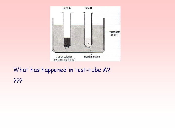 What has happened in test-tube A? ? 