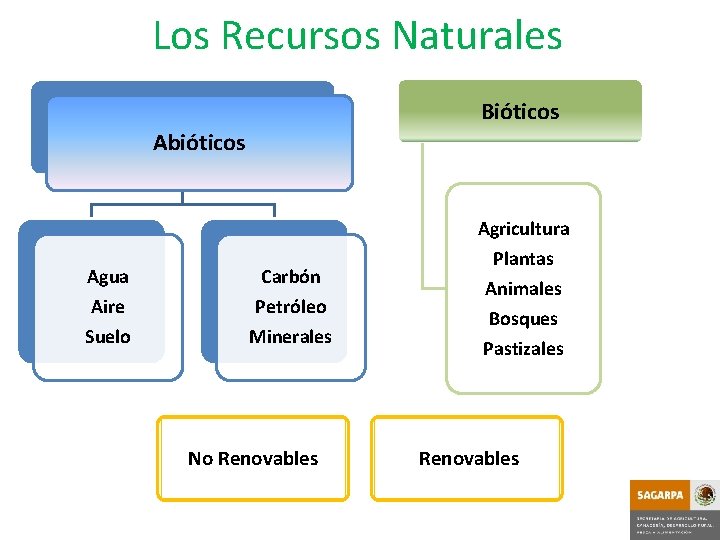 Los Recursos Naturales Bióticos Abióticos Agua Carbón Aire Suelo Petróleo Minerales No Renovables Agricultura