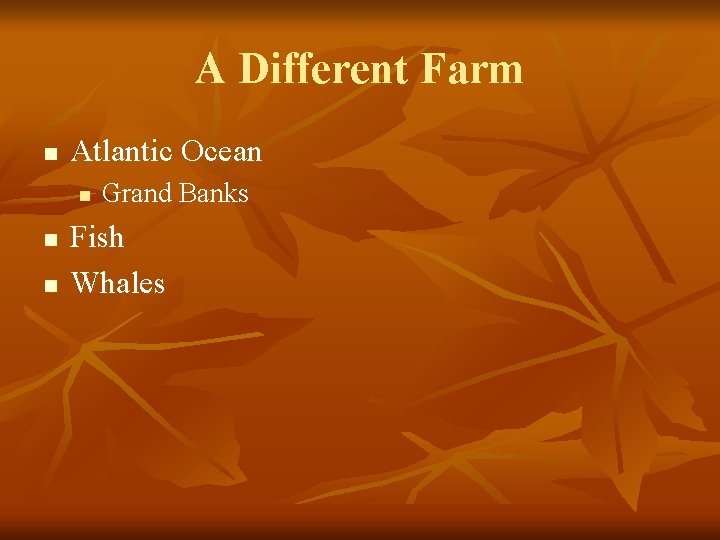 A Different Farm n Atlantic Ocean n Grand Banks Fish Whales 