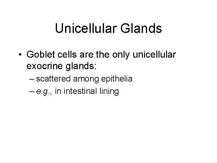 Unicellular Glands • Goblet cells are the only unicellular exocrine glands: – scattered among