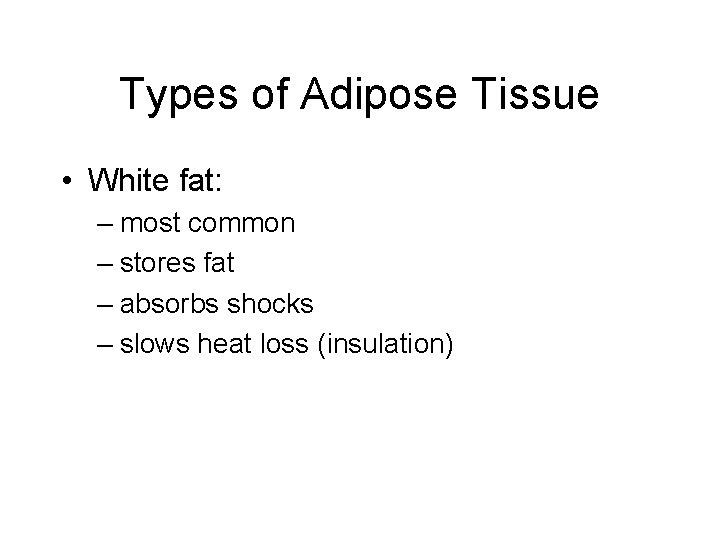 Types of Adipose Tissue • White fat: – most common – stores fat –