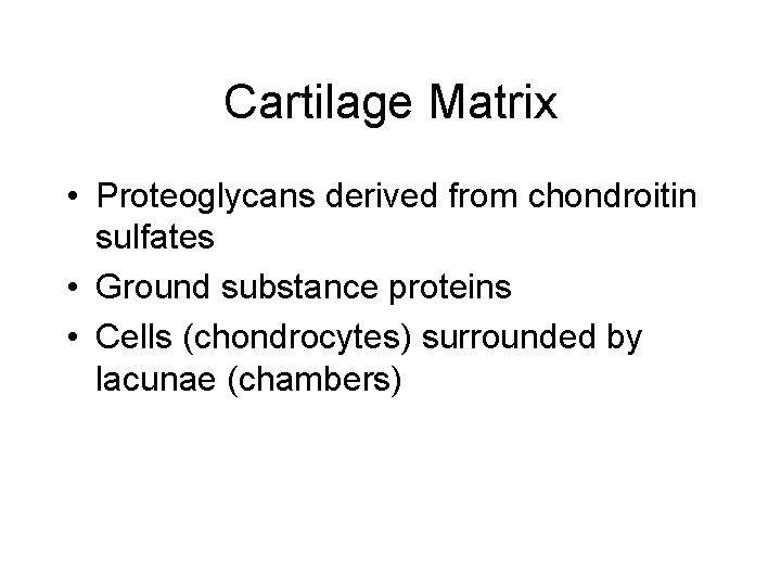 Cartilage Matrix • Proteoglycans derived from chondroitin sulfates • Ground substance proteins • Cells