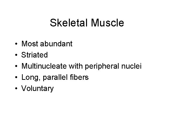 Skeletal Muscle • • • Most abundant Striated Multinucleate with peripheral nuclei Long, parallel