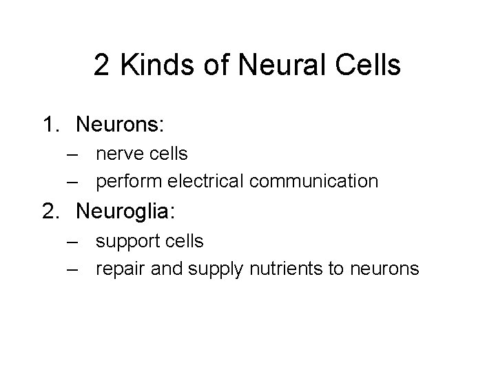 2 Kinds of Neural Cells 1. Neurons: – nerve cells – perform electrical communication