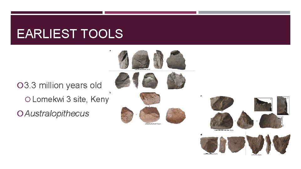 EARLIEST TOOLS 3. 3 million years old Lomekwi 3 site, Kenya Australopithecus 