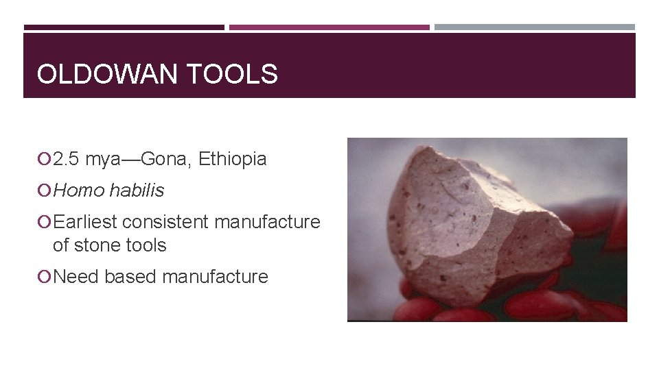 OLDOWAN TOOLS 2. 5 mya—Gona, Ethiopia Homo habilis Earliest consistent manufacture of stone tools