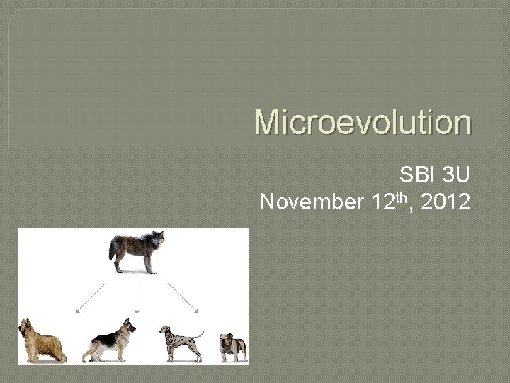 Microevolution SBI 3 U November 12 th, 2012 