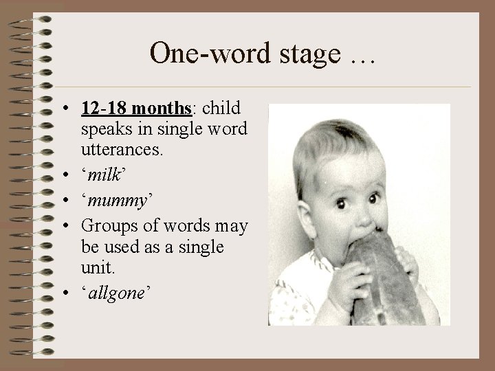 One-word stage … • 12 -18 months: child speaks in single word utterances. •