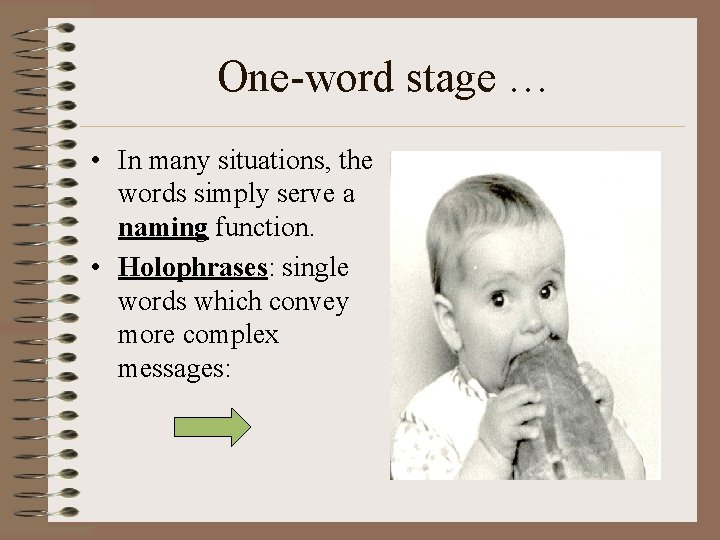 One-word stage … • In many situations, the words simply serve a naming function.