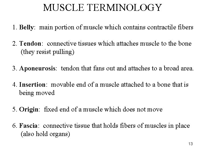 MUSCLE TERMINOLOGY 1. Belly: main portion of muscle which contains contractile fibers 2. Tendon: