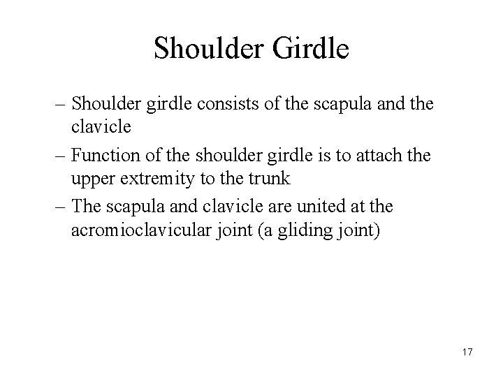 Shoulder Girdle – Shoulder girdle consists of the scapula and the clavicle – Function