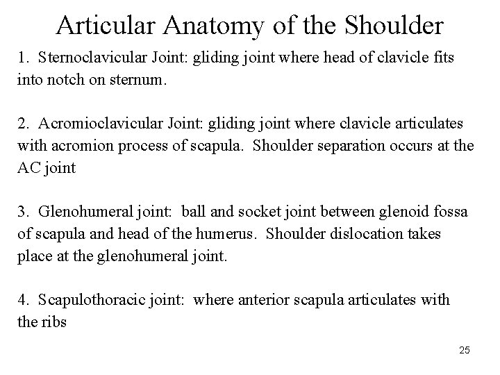 Articular Anatomy of the Shoulder 1. Sternoclavicular Joint: gliding joint where head of clavicle