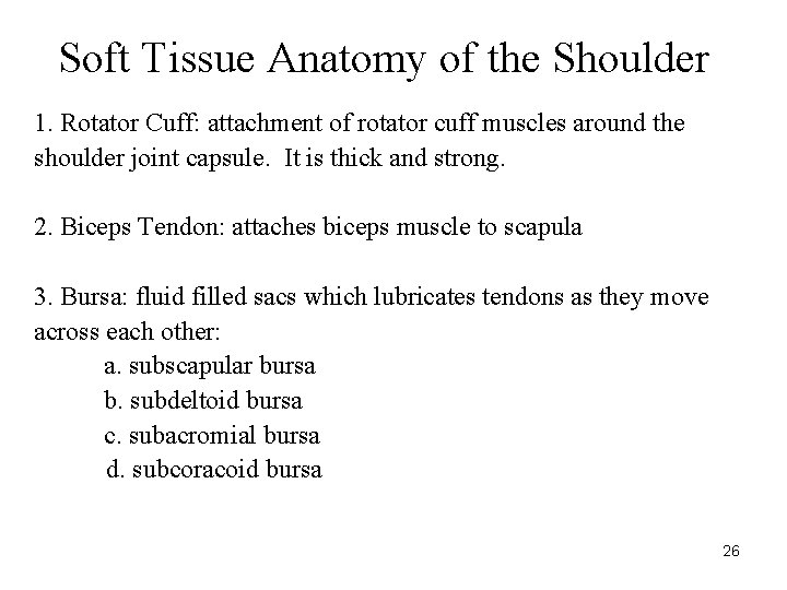 Soft Tissue Anatomy of the Shoulder 1. Rotator Cuff: attachment of rotator cuff muscles