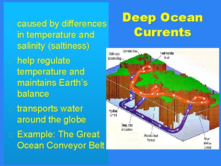 o caused by differences in temperature and salinity (saltiness) o help regulate temperature and o caused by differences in temperature and salinity (saltiness) o help regulate temperature and