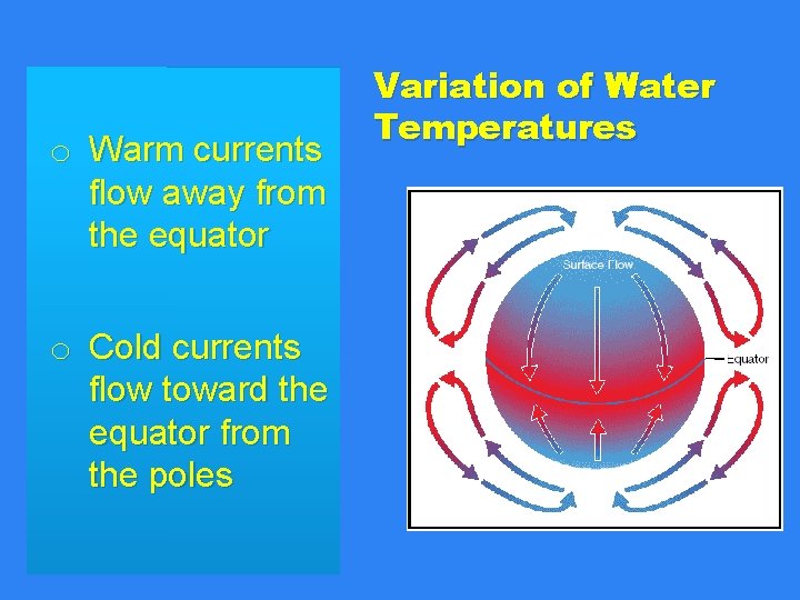 o Warm currents flow away from the equator o Cold currents flow toward the o Warm currents flow away from the equator o Cold currents flow toward the