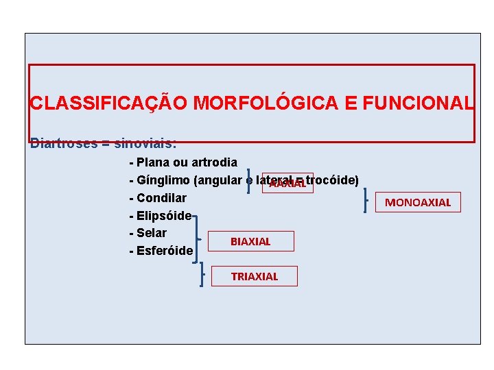 CLASSIFICAÇÃO MORFOLÓGICA E FUNCIONAL Diartroses = sinoviais: - Plana ou artrodia - Gínglimo (angular