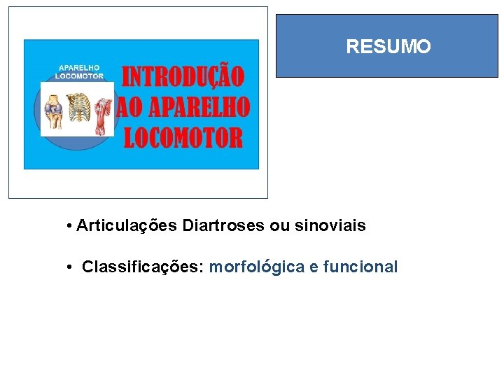 RESUMO • Articulações Diartroses ou sinoviais • Classificações: morfológica e funcional 