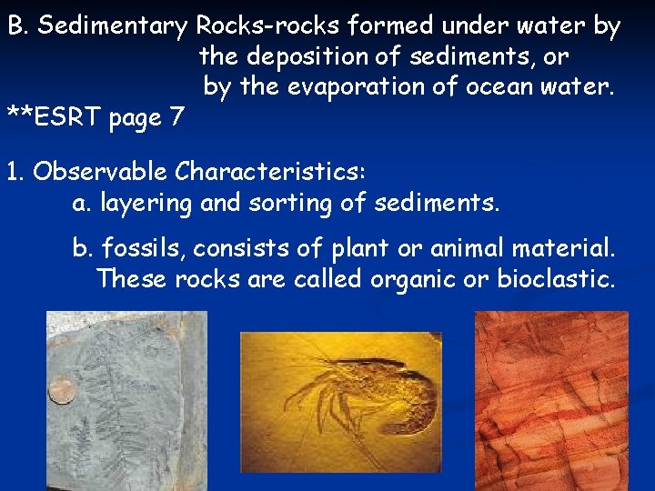 B. Sedimentary Rocks-rocks formed under water by the deposition of sediments, or by the