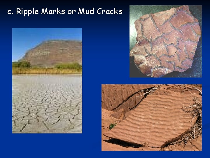 c. Ripple Marks or Mud Cracks 