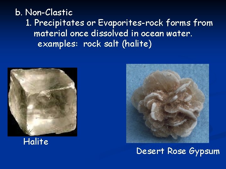 b. Non-Clastic 1. Precipitates or Evaporites-rock forms from material once dissolved in ocean water.