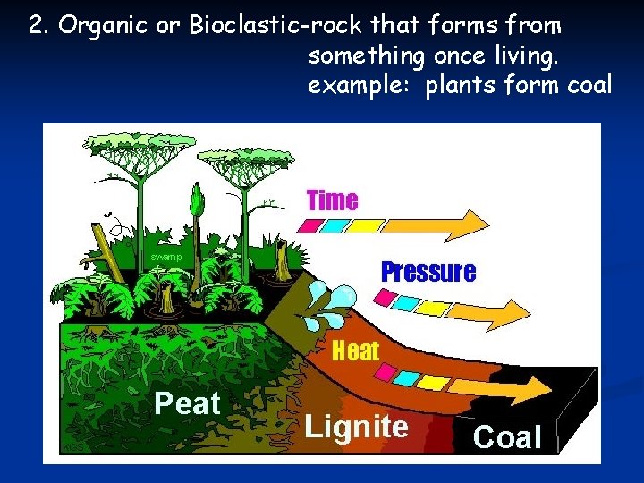 2. Organic or Bioclastic-rock that forms from something once living. example: plants form coal