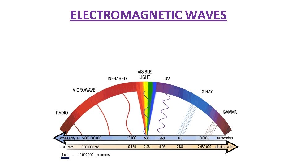 ELECTROMAGNETIC WAVES Light is carried by electromagnetic waves. 