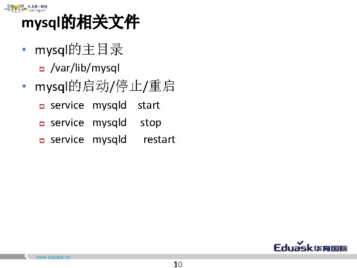 mysql的相关文件 • mysql的主目录 p /var/lib/mysql • mysql的启动/停止/重启 p p p service mysqld start service