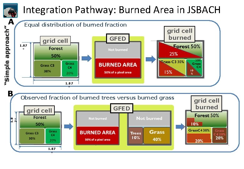Integration Pathway: Burned Area in JSBACH “Simple approach” A B Equal distribution of burned