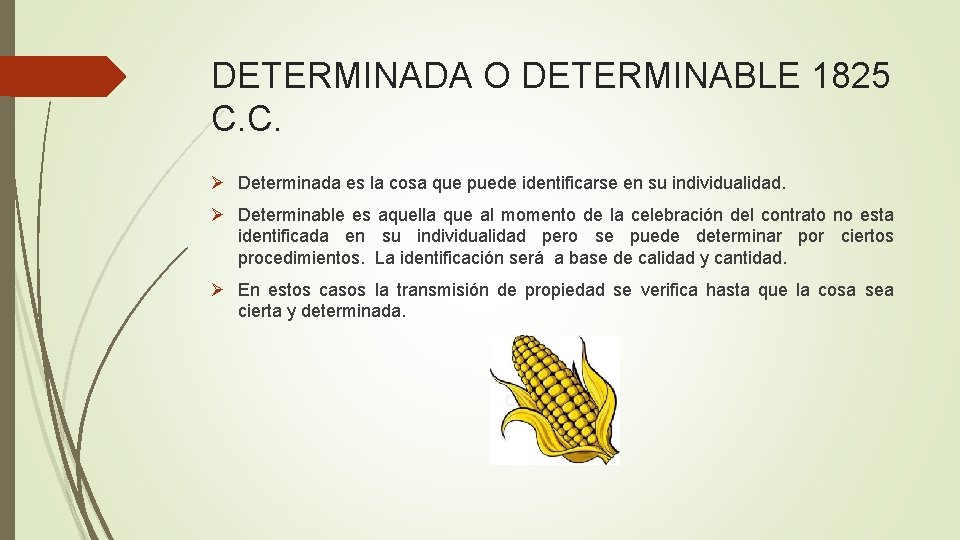 DETERMINADA O DETERMINABLE 1825 C. C. Ø Determinada es la cosa que puede identificarse