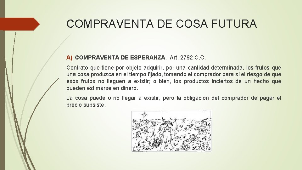 COMPRAVENTA DE COSA FUTURA A) COMPRAVENTA DE ESPERANZA. Art. 2792 C. C. Contrato que